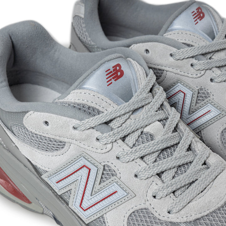 2010 | Silver Metallic