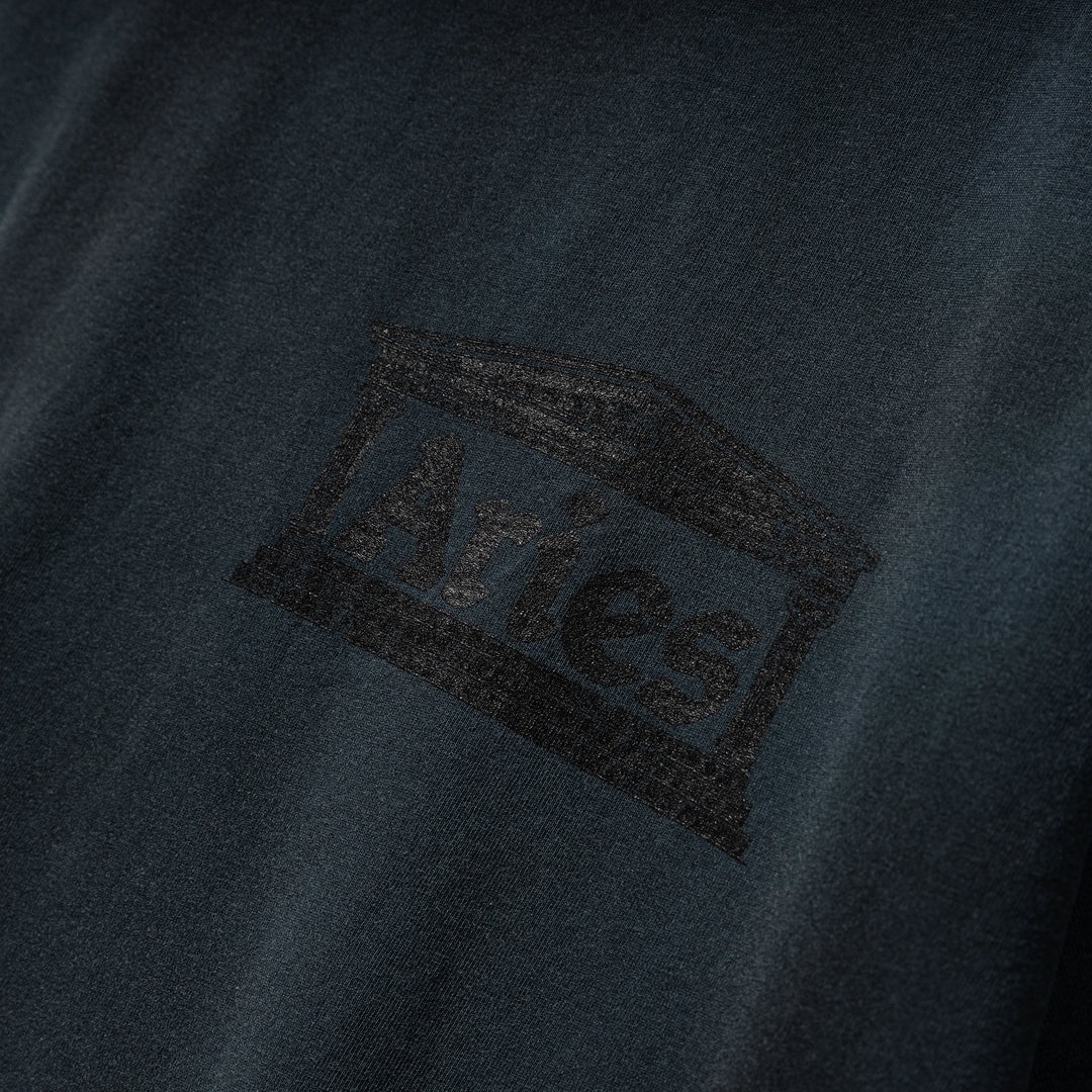 Sunbleached Ancient Temple Tee | Black