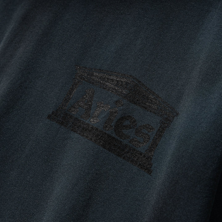 Sunbleached Ancient Temple Tee | Black