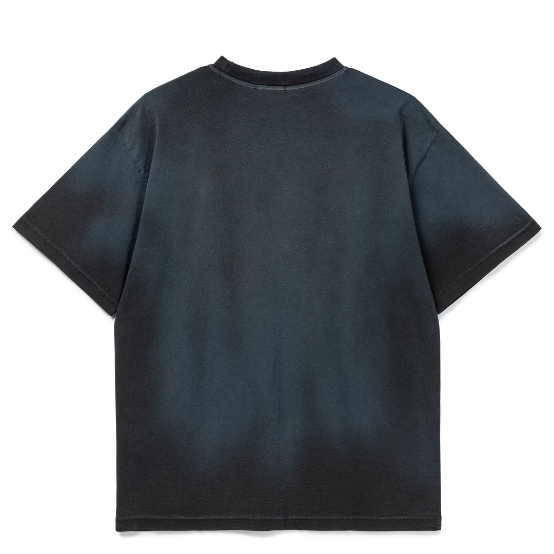 Sunbleached Ancient Temple Tee | Black