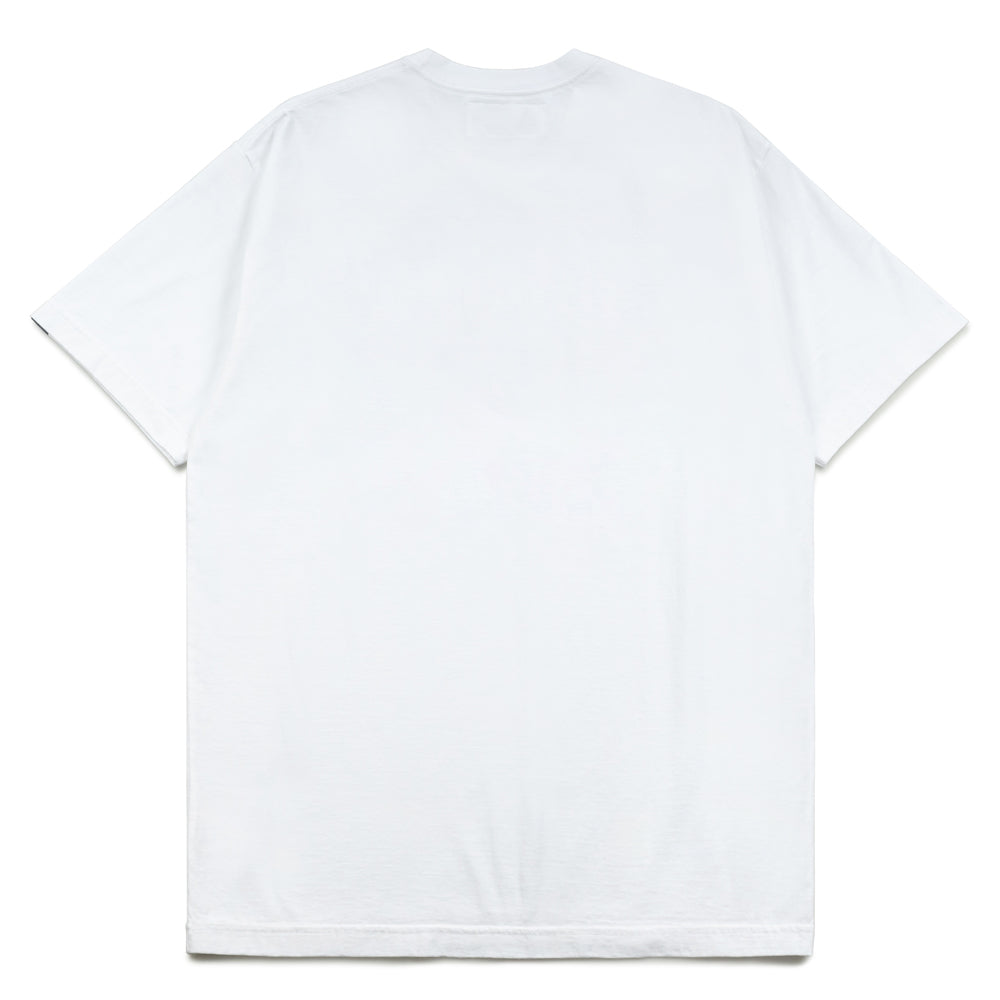 Wolf College Tee | White