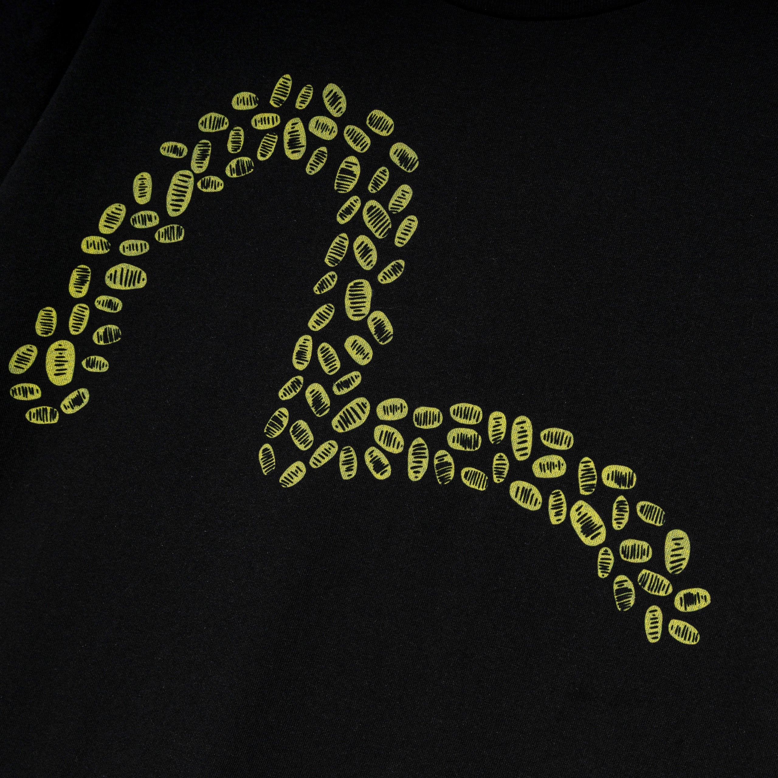 Flagstuff x EVISU SS Tee | Black