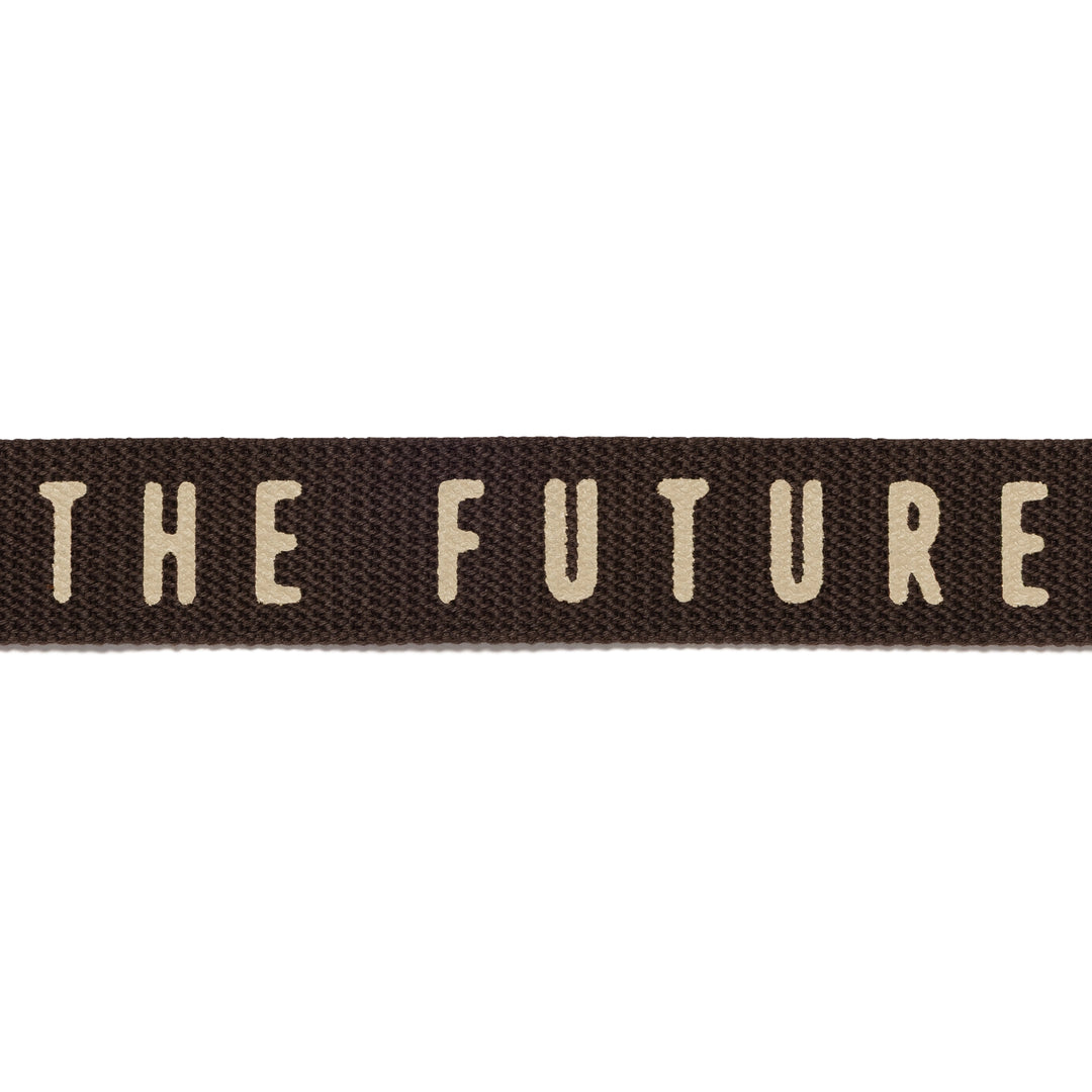 Web Belt | Brown