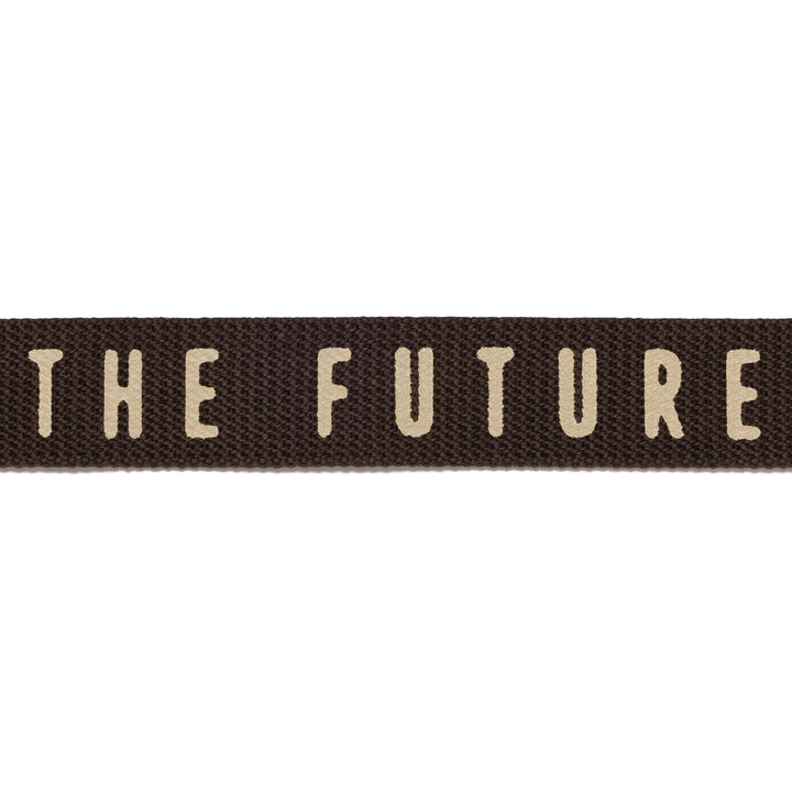 Web Belt | Brown