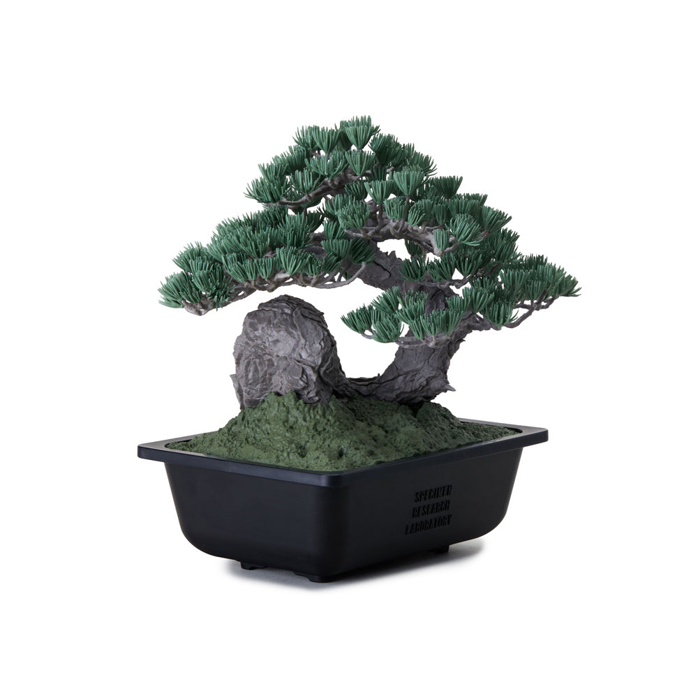 SRL x Bandai Spirits . Bonsai Model Kit | Green