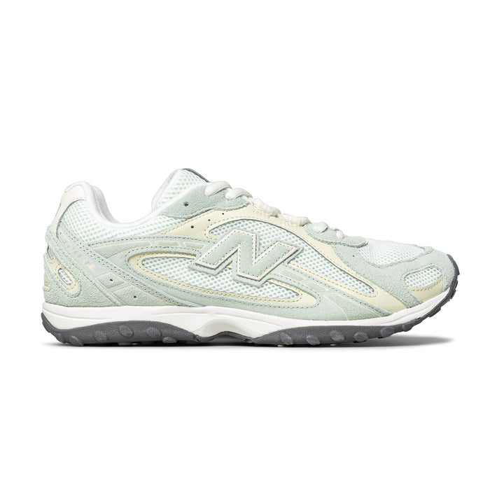 204L | Silver Moss