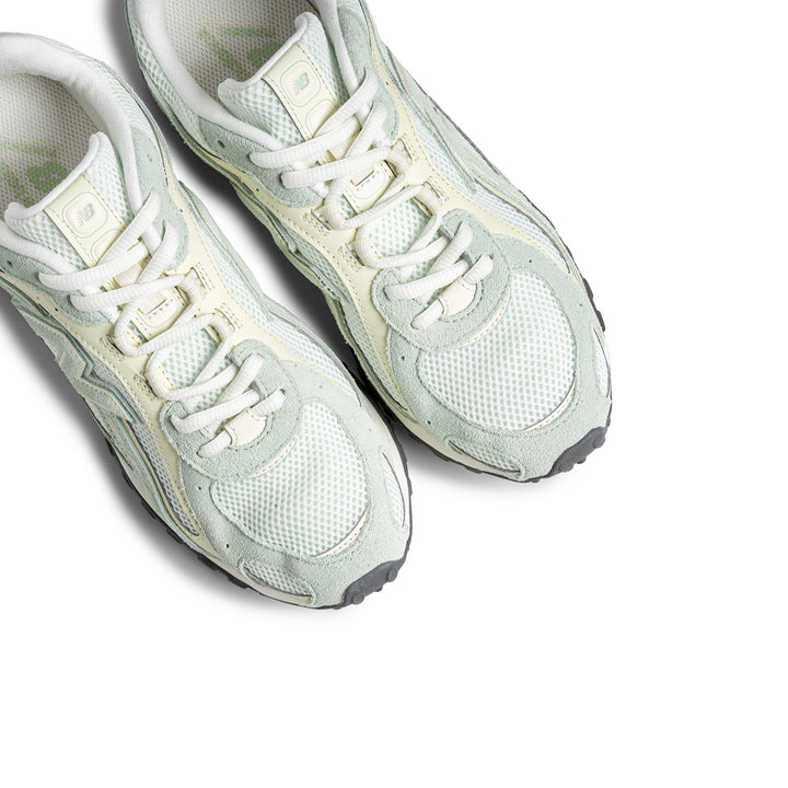 204L | Silver Moss