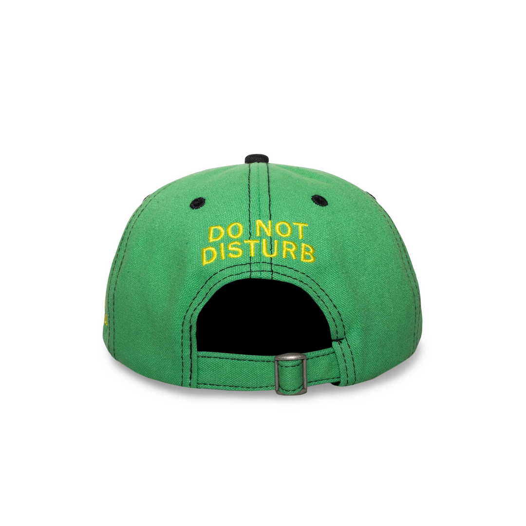 Disturb Cap | Green