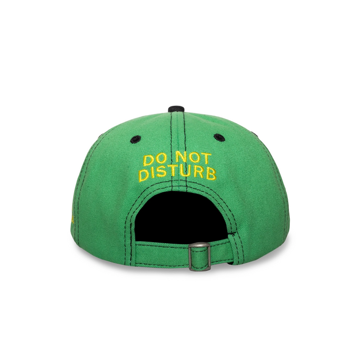 Disturb Cap | Green