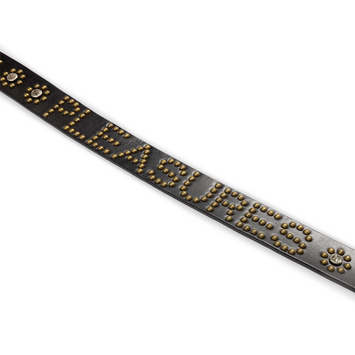 Studded Belt | Black