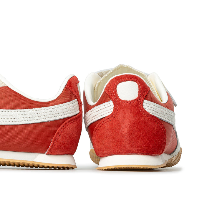 H-Street Strap | Candy Apple
