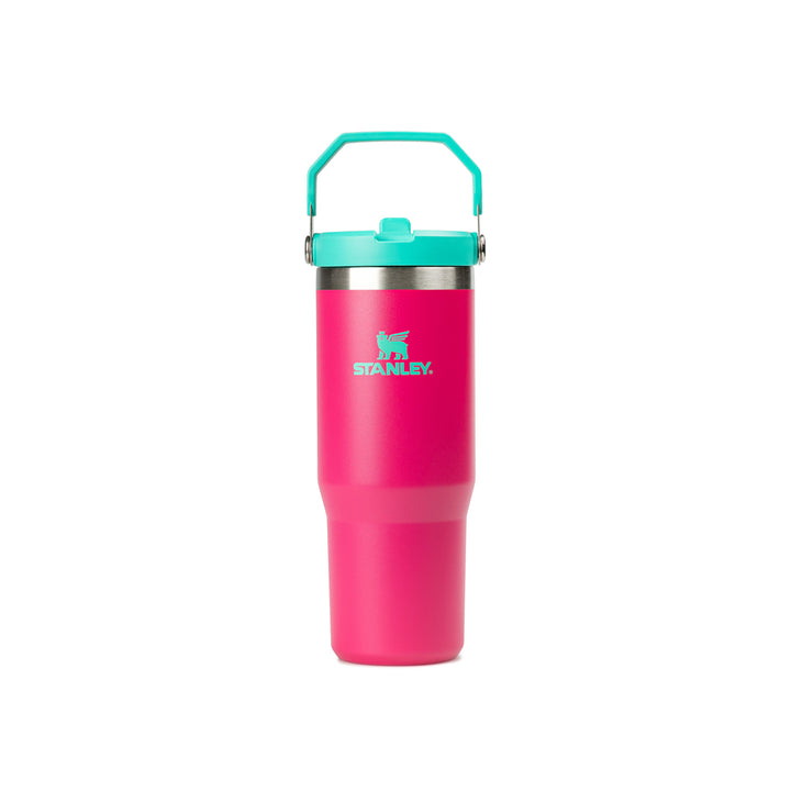 Adventure Classic Flip Straw Tumbler 30oz | Passion Pink