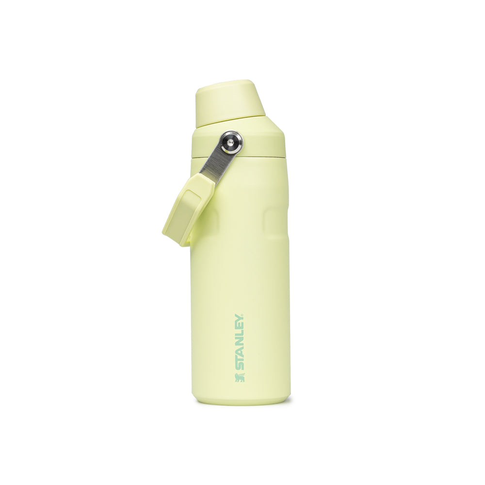 Iceflow™ Bottle With Fast Flow Lid 16oz | Light Green