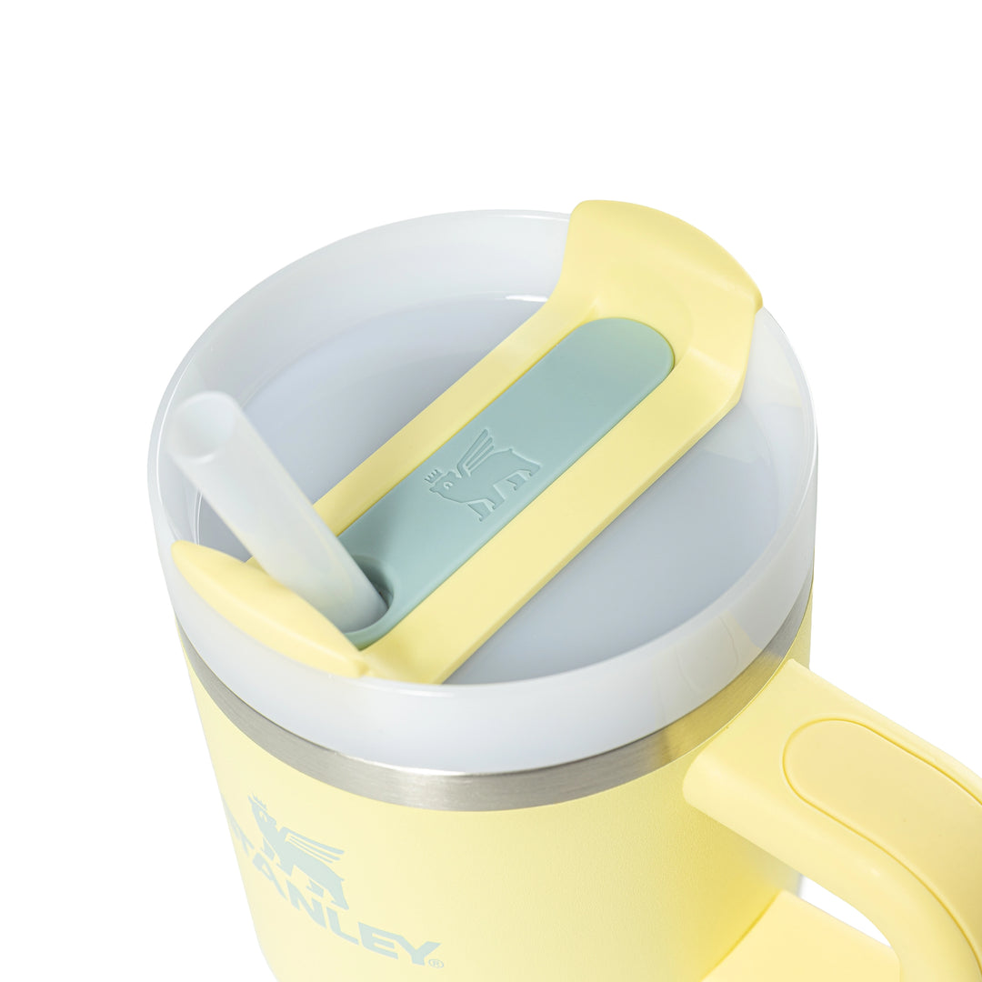 Quencher H2.0 Flowstate Tumbler 20oz | Pomelo