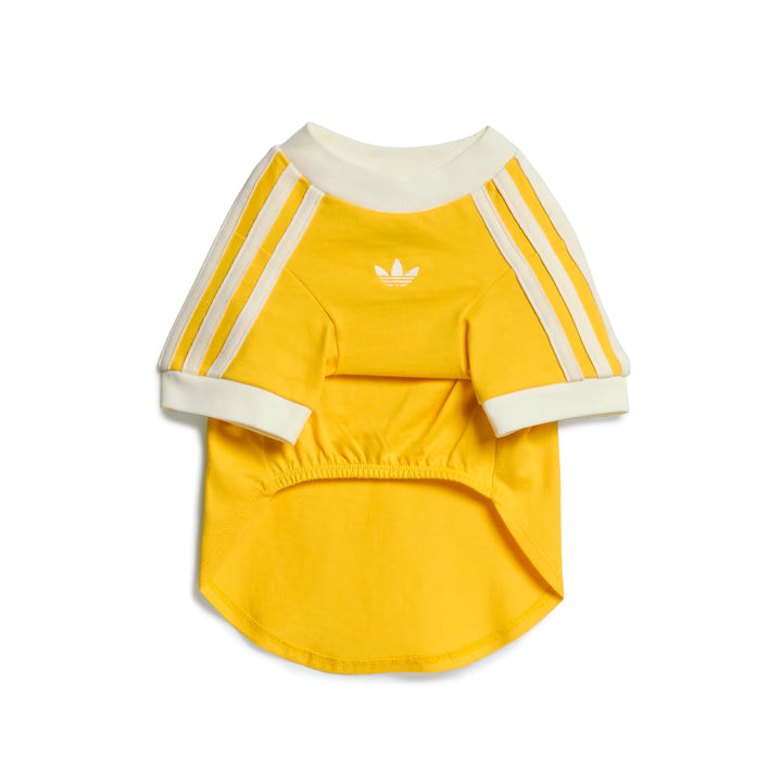 Pet Cali Tee | Bold Gold