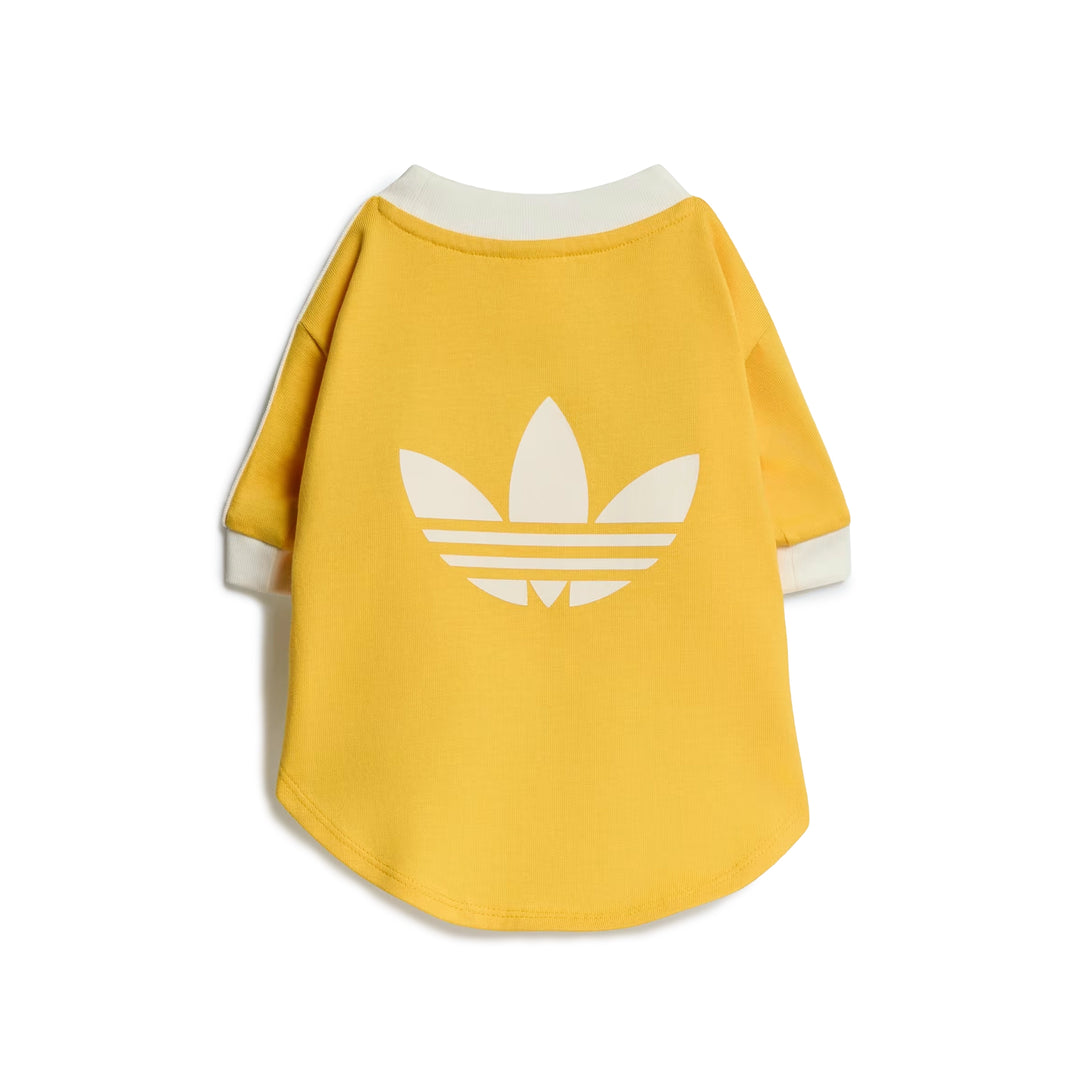 Pet Cali Tee | Bold Gold