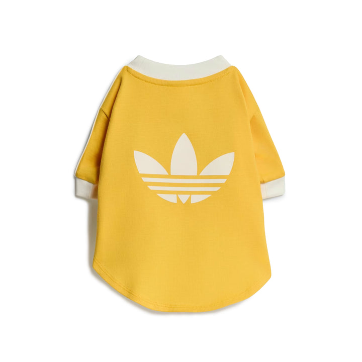 Pet Cali Tee | Bold Gold