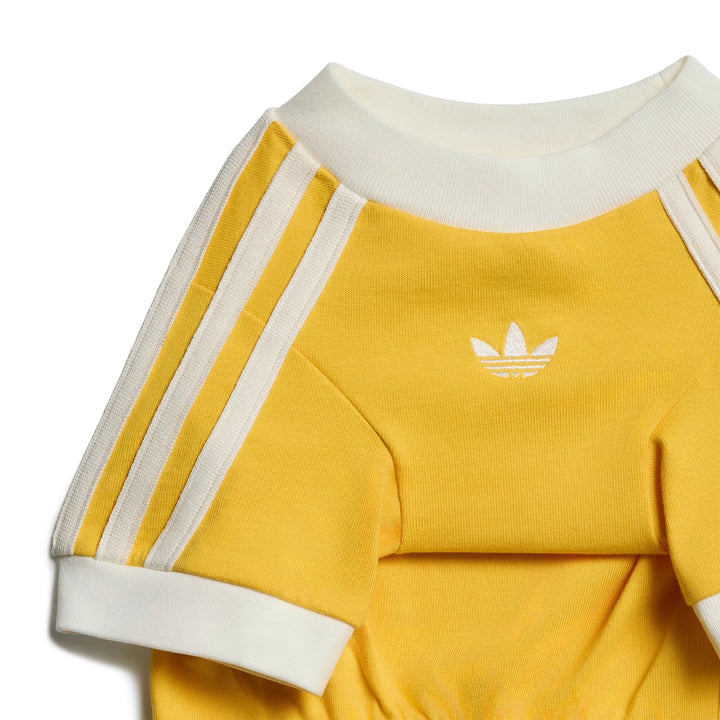 Pet Cali Tee | Bold Gold