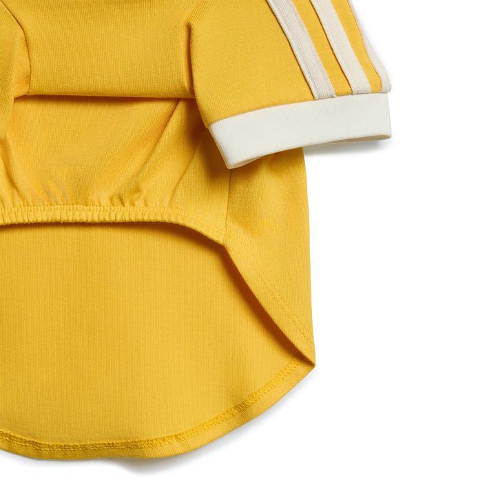 Pet Cali Tee | Bold Gold