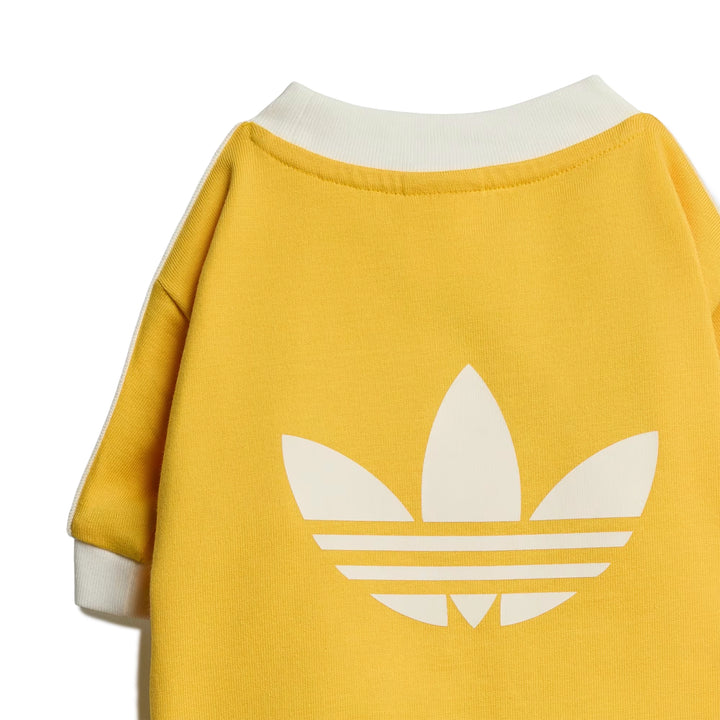 Pet Cali Tee | Bold Gold
