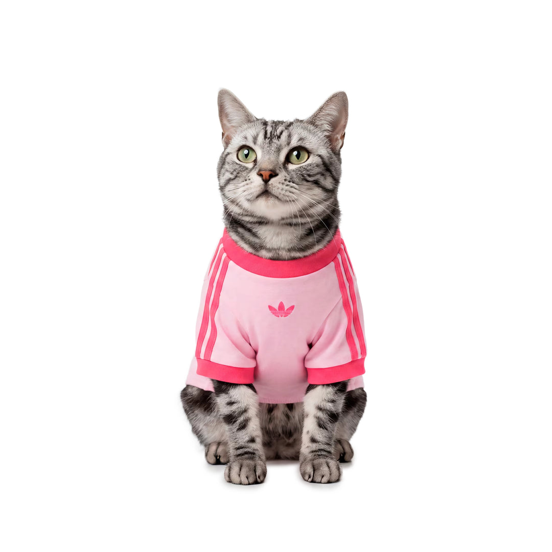 Pet Cali Tee | Clear Pink