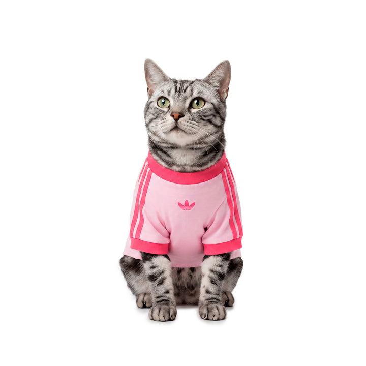Pet Cali Tee | Clear Pink