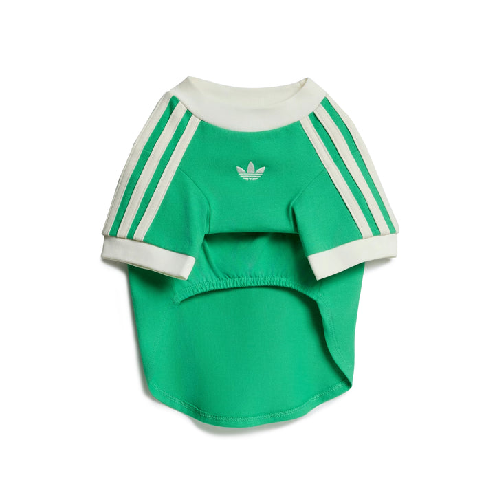Pet Cali Tee | Flash Lime