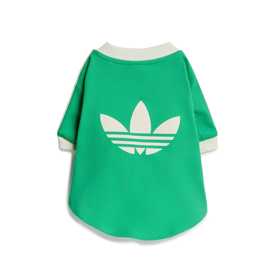 Pet Cali Tee | Flash Lime