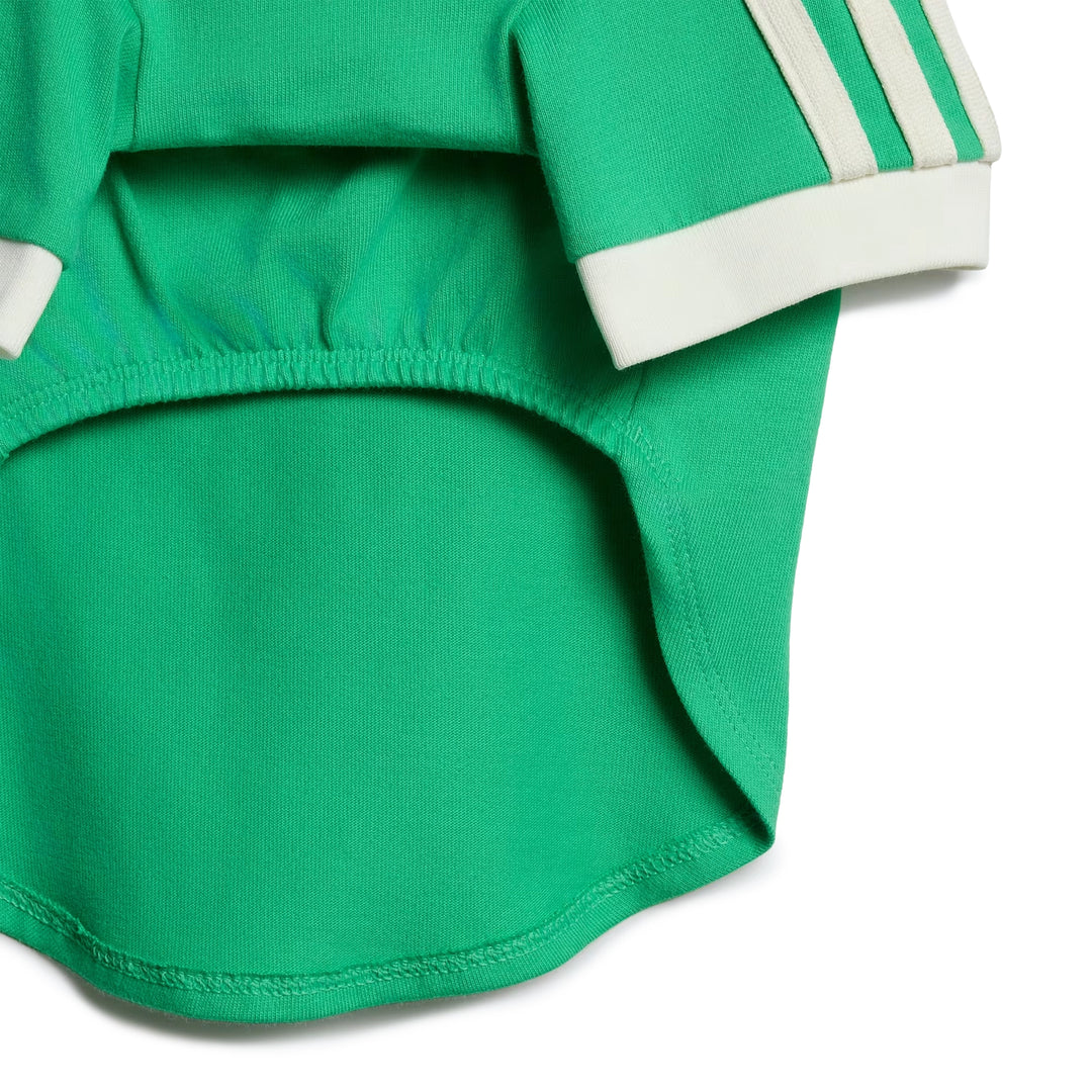 Pet Cali Tee | Flash Lime