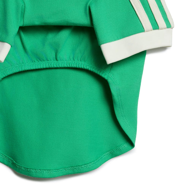 Pet Cali Tee | Flash Lime