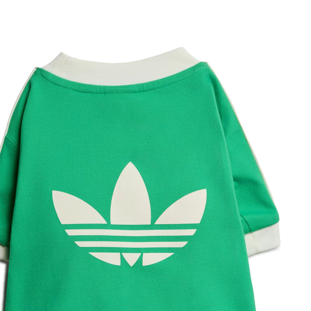Pet Cali Tee | Flash Lime