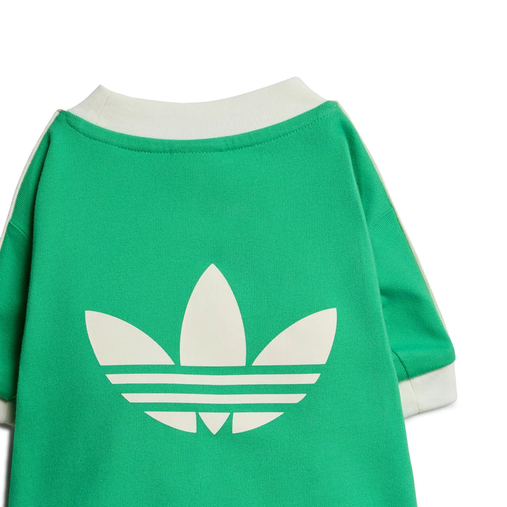 Pet Cali Tee | Flash Lime