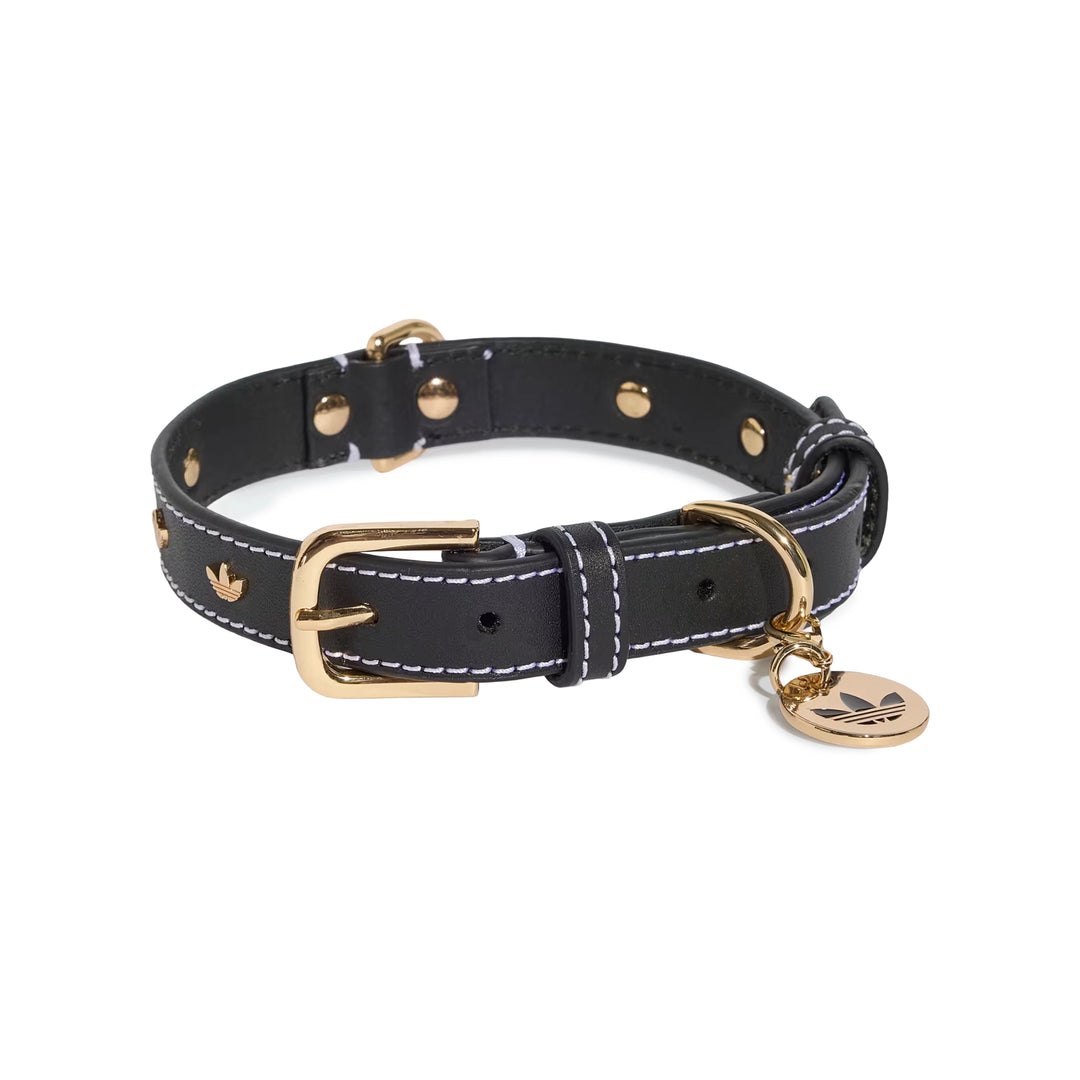 Pet Collar | Black