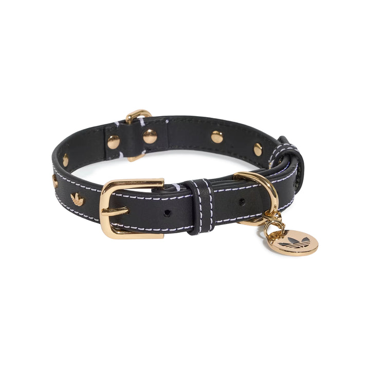 Pet Collar | Black