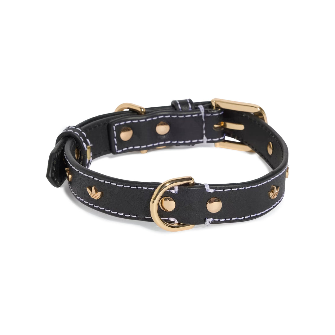 Pet Collar | Black