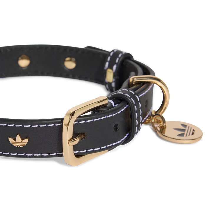 Pet Collar | Black