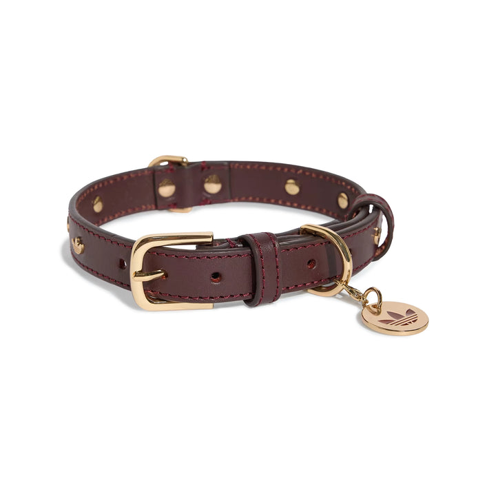Pet Collar | Collegiate Burgundy