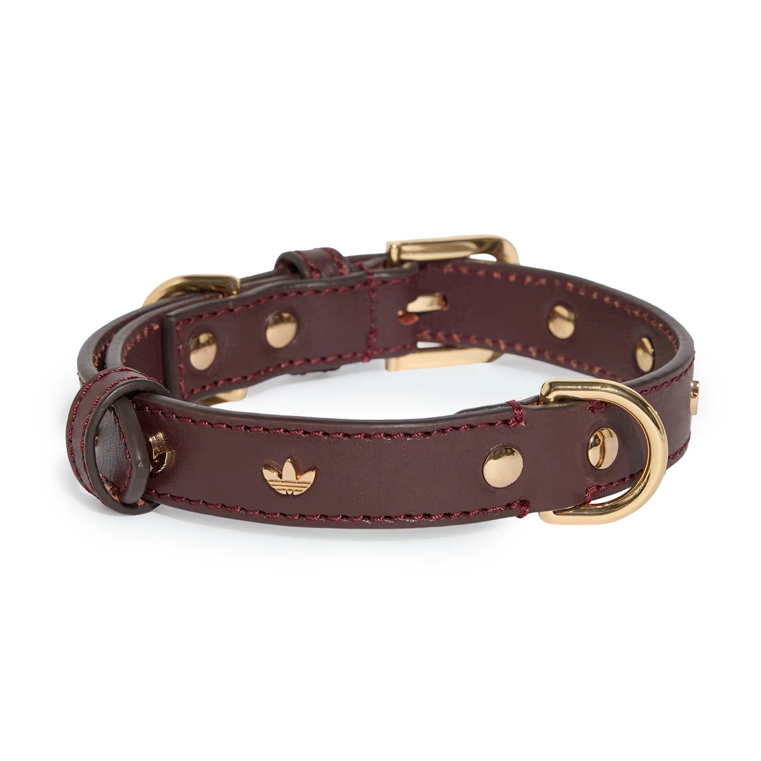 Pet Collar | Collegiate Burgundy