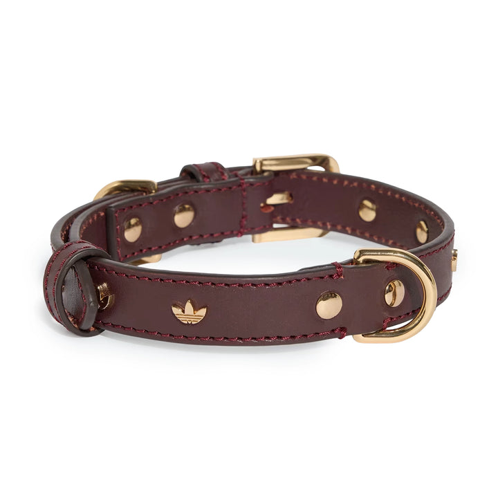 Pet Collar | Collegiate Burgundy