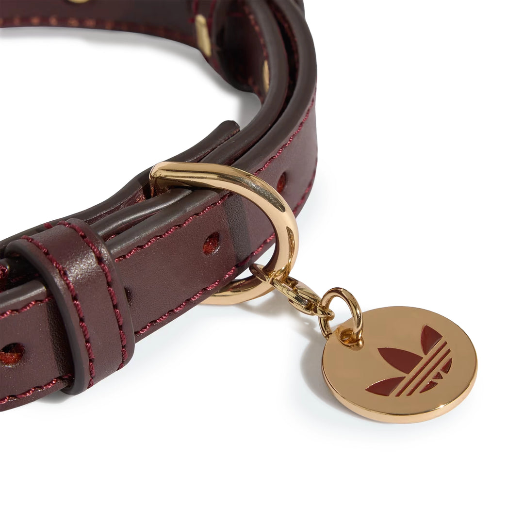 Pet Collar | Collegiate Burgundy