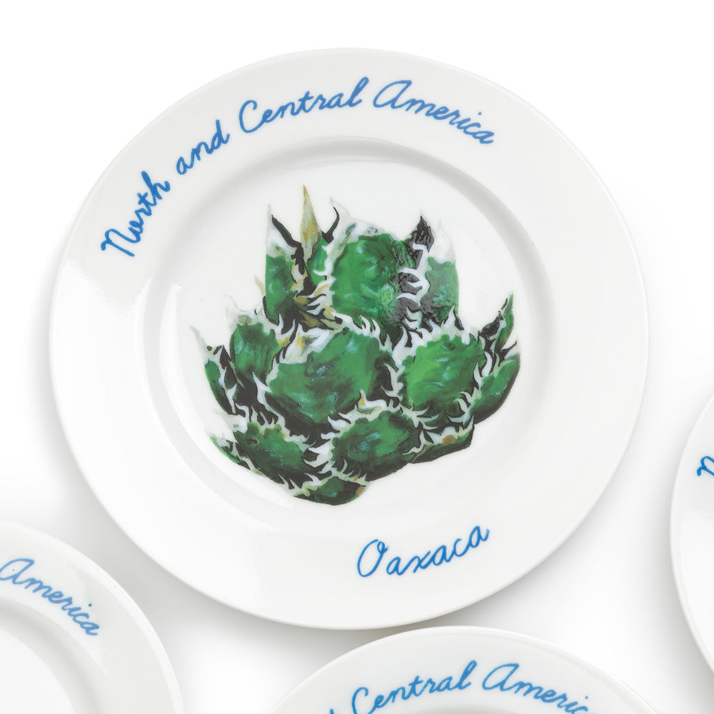 Flagstuff "North and Central America" Plate Set | White - CROSSOVER