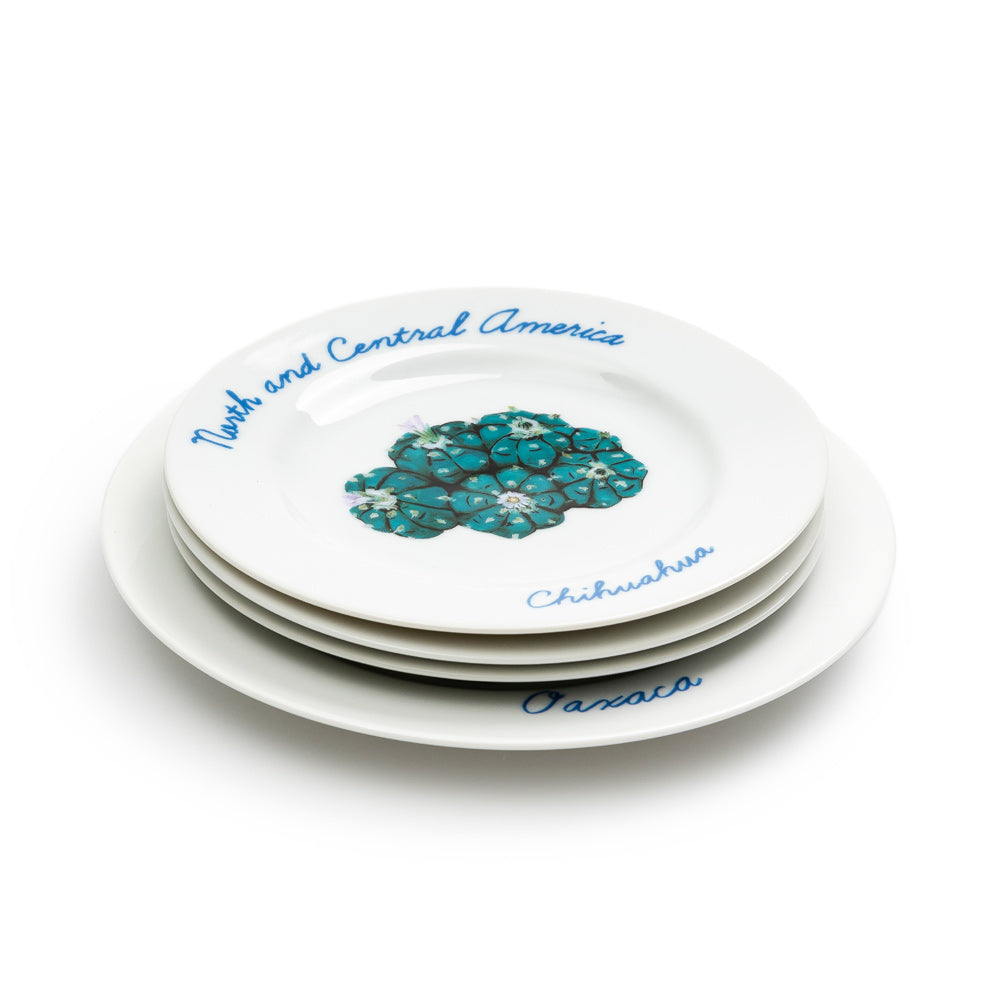Flagstuff "North and Central America" Plate Set | White - CROSSOVER